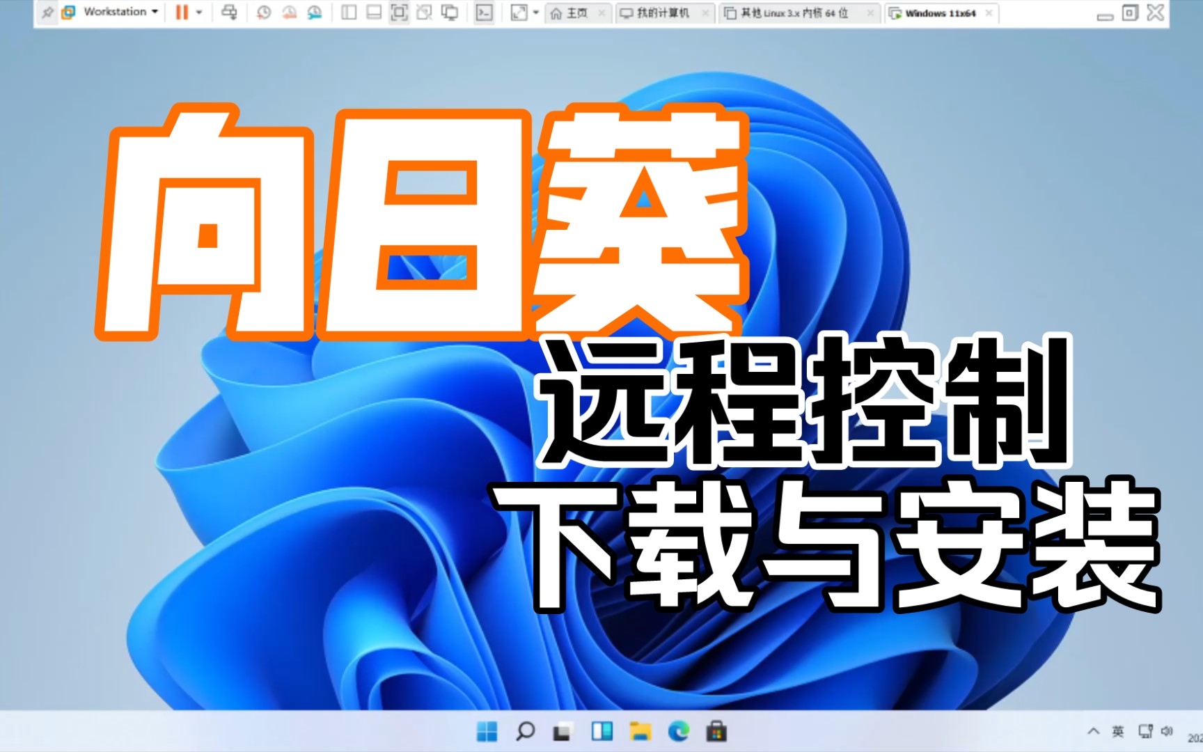 向日葵远程控制软件,最新电脑版免费下载