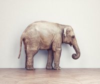 文章样式五:视频列表