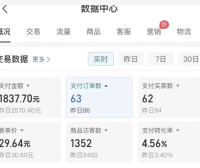 多多虚拟类目玩法,新手也能轻松月入1W+,非常无脑