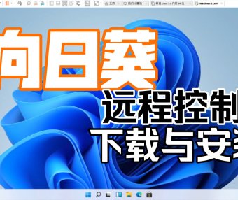 向日葵远程控制软件,最新电脑版免费下载