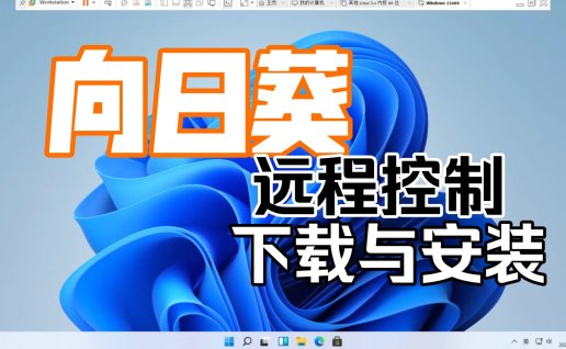 向日葵远程控制软件，最新电脑版免费下载