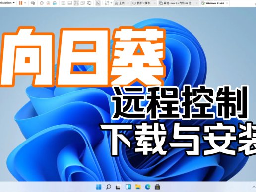 向日葵远程控制软件，最新电脑版免费下载